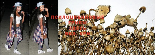 винт Алексин