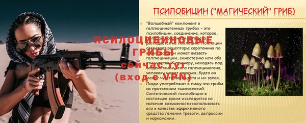 винт Алексин